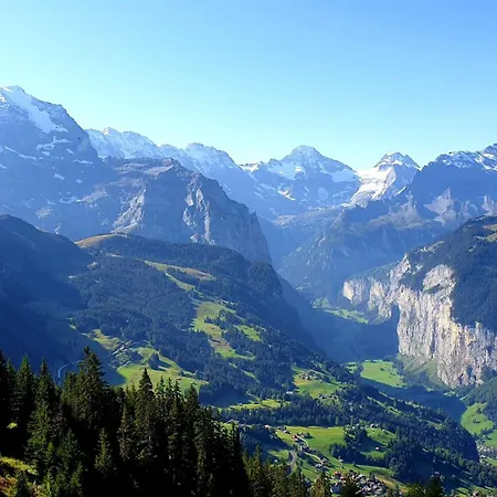 Hotel Schoenegg Wengen