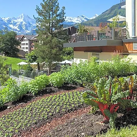 Hotel Schönegg